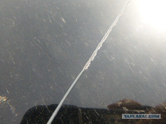 Поймать бы ту сволочь...