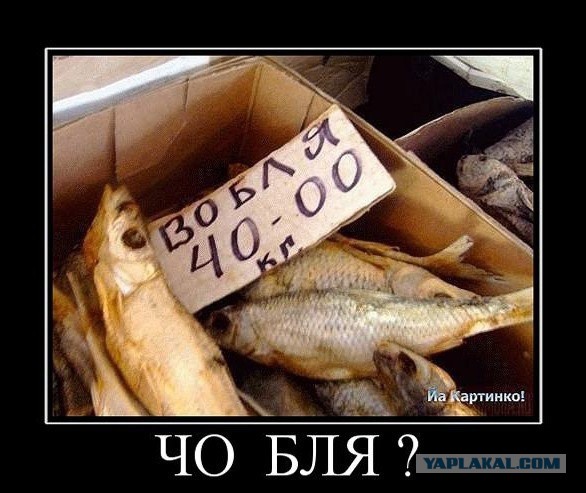 Демотиваторы вторника