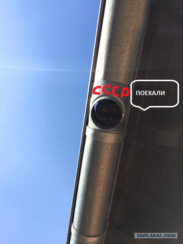 За нами всегда кто-то следит