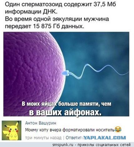 Ужасы и приколы из соцсетей 18+