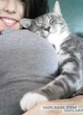 Очень ЯПовское фото