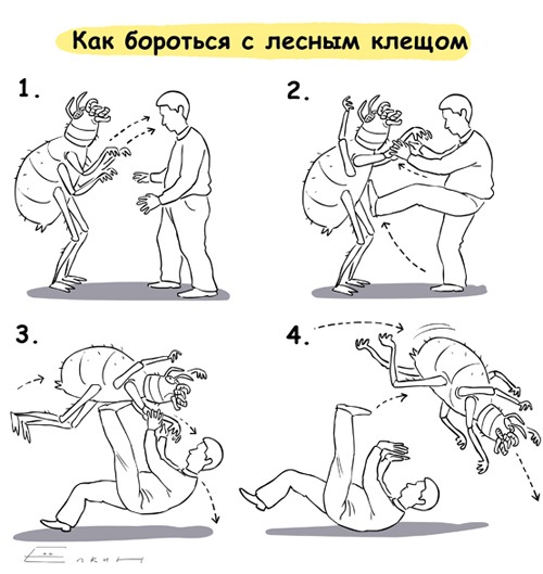 Листал книгу по самообороне...