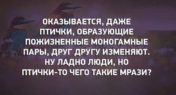Тёща спалила меня