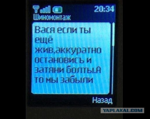 Ужасы и приколы из соцсетей 18+
