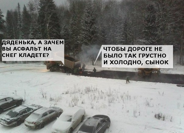 Приколы из сети