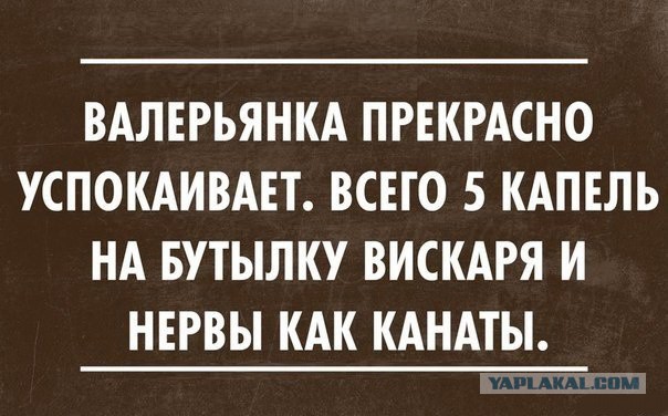 Картинки  из сети