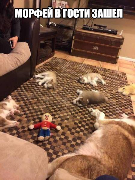 Разные картинки