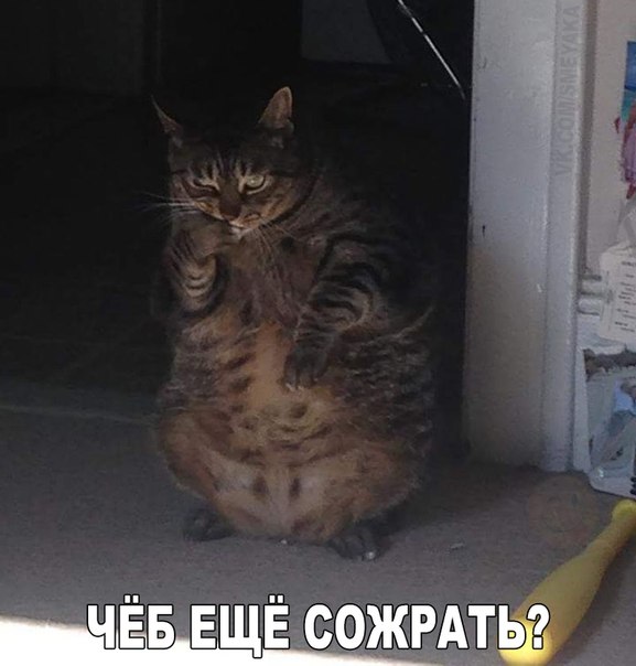 Всяко - разно...картинки