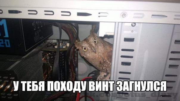 Отовсюду понемногу