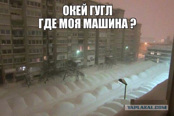 Подборка забавных картинок