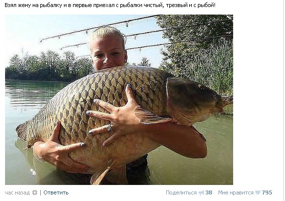 Ужасы и приколы из соцсетей 18+