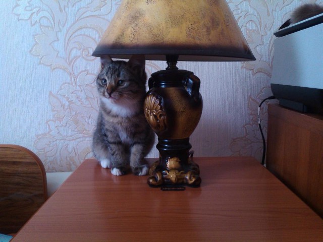 Попытка сделать свое "время ох##тельных историй"