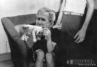 Фотожаба: Джорж Буш кошкоед