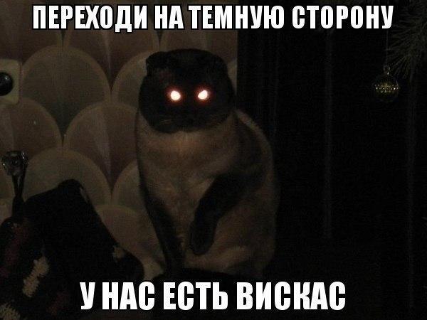 Мохнатые беспредельщики