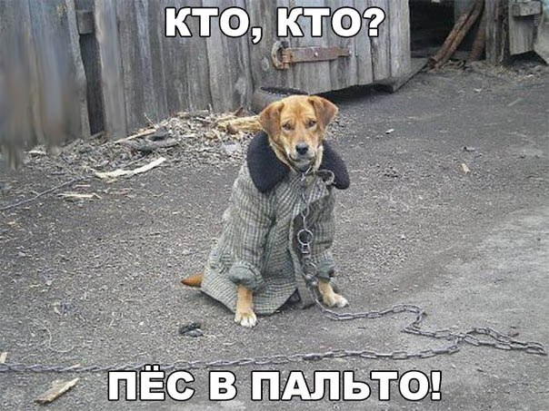 Ассорти картинок из сети