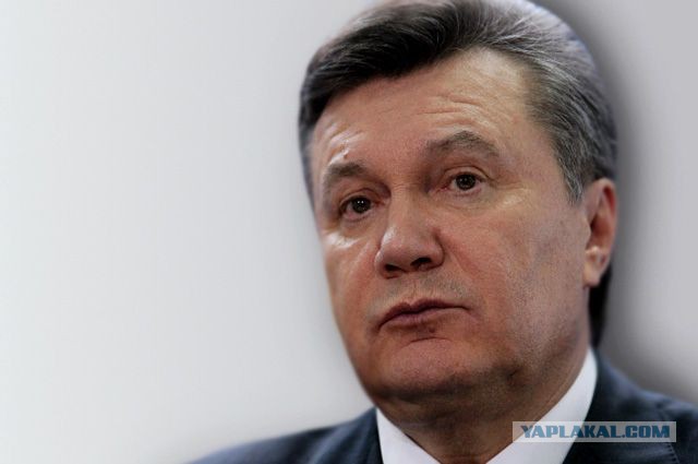 Волгоградцы просят президента назначить губернатором Виктора Януковича