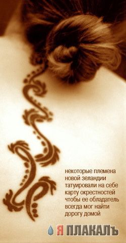 Визуальная  философия.