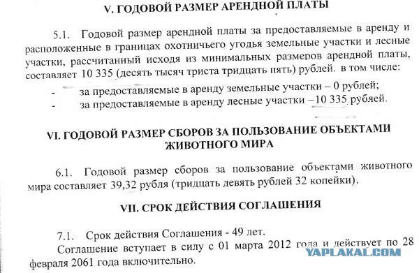 В усадьбу Медведева в Плёсе завезли полсотни алтайских маралов. 4 тысяч га земли за 40 рублей