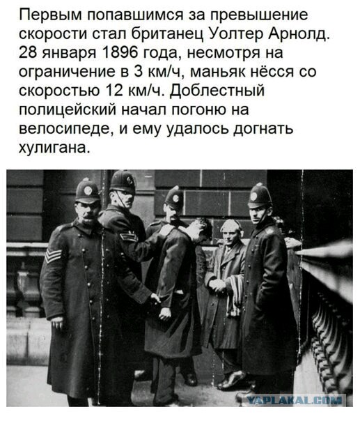 Очередная порция перлов