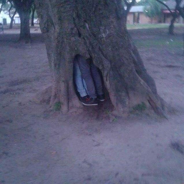 Всякая всячина