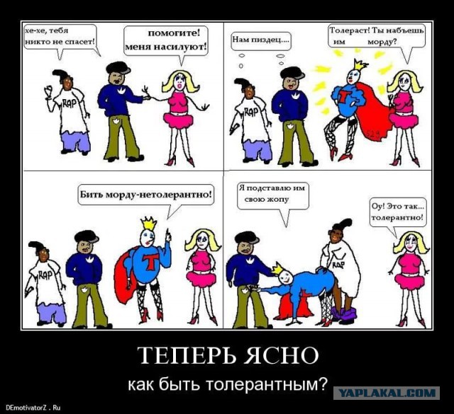 Ассимиляция по-Французски
