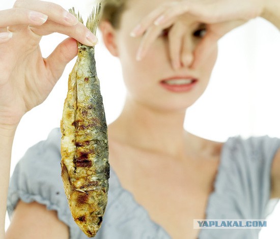 Рыбке дали политическое убежище в США