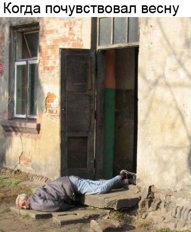 Пора немного тупануть!