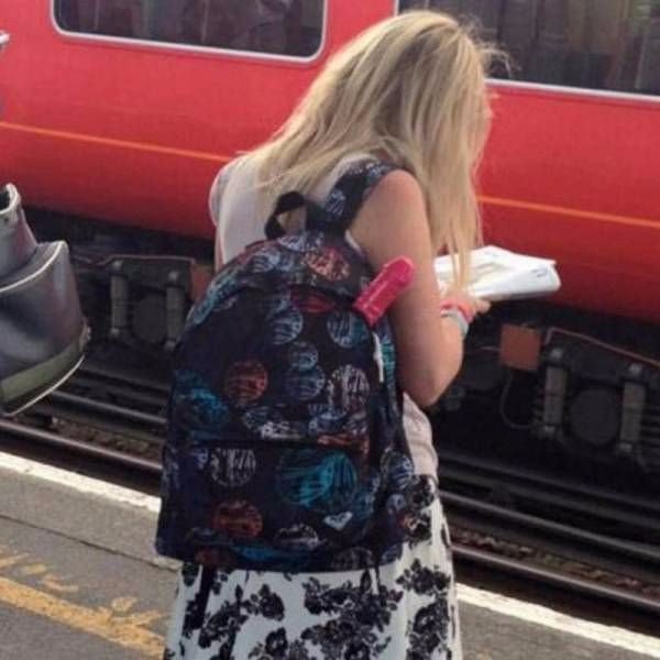 11394936.jpg