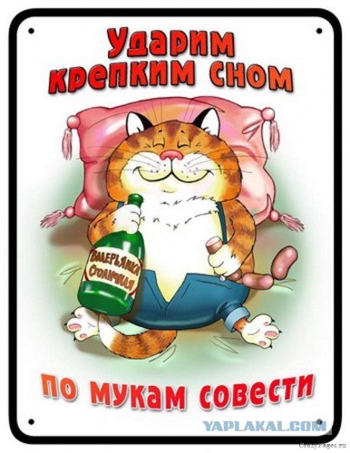 Рыжий котовторник на ЯПлакал!, Смотрим  и добавляем!