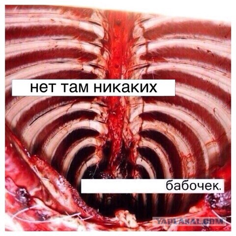 Немного картинок в этот вторник