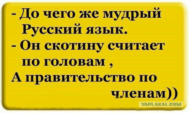 Подборка интересных и веселых картинок 19.12.18