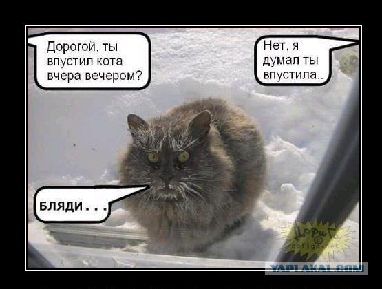 А про "погладь кота, сука!" уже все и забыли?!