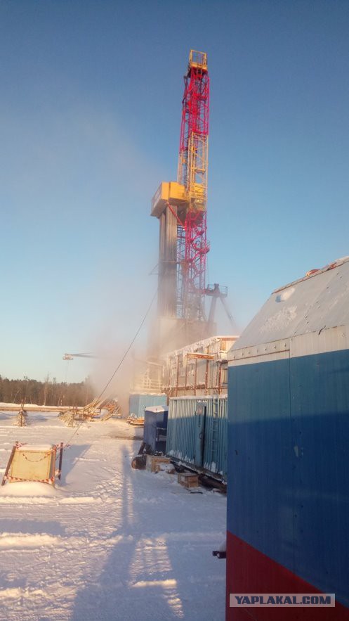 Сургут 01.02.2019, несколько фотографий