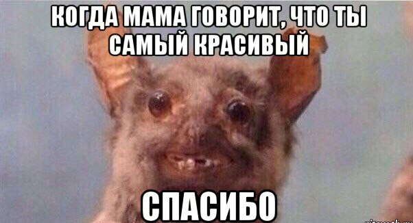 31 первый километр