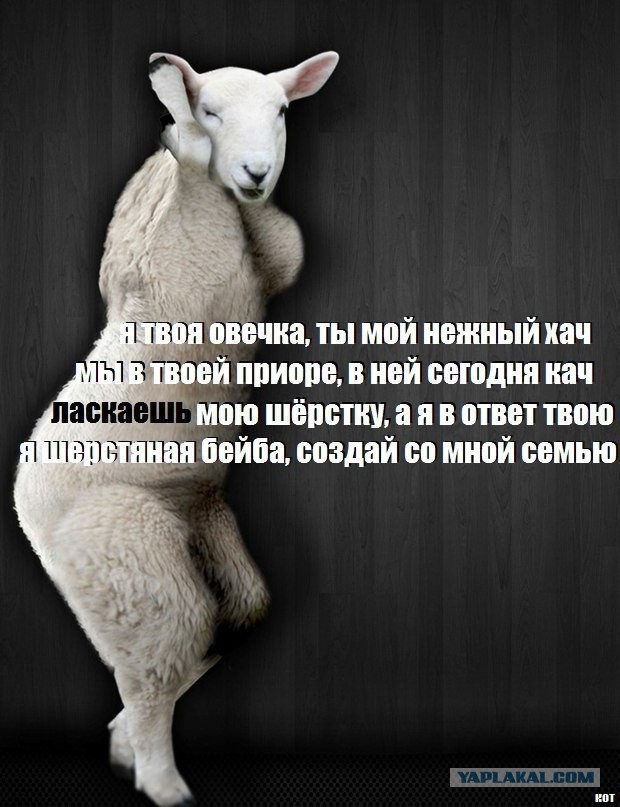 Азербайджанская модель продала девственность за 2,4 миллиона евро ради матери