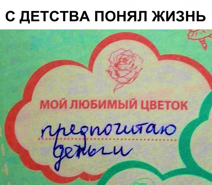 12914936.jpg