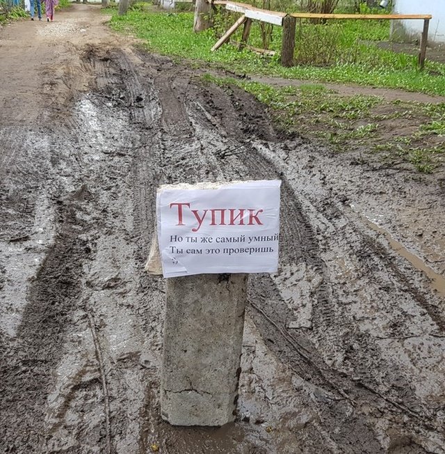 Подборка интересных и веселых картинок 07.05.19