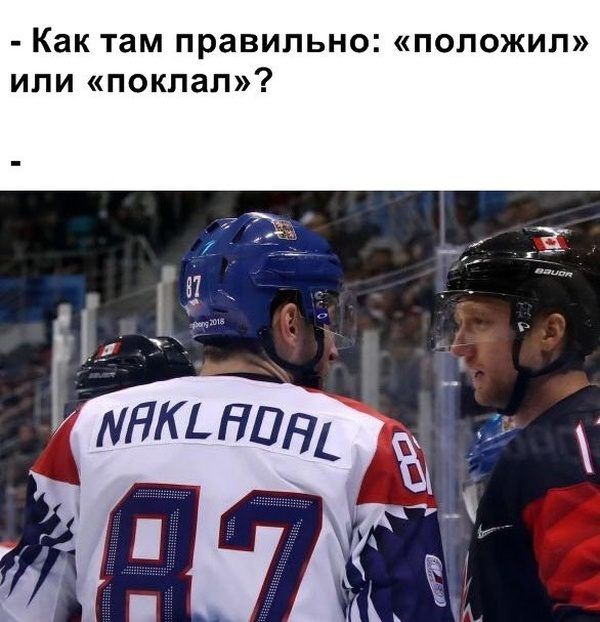 Нищеброд-помоешник