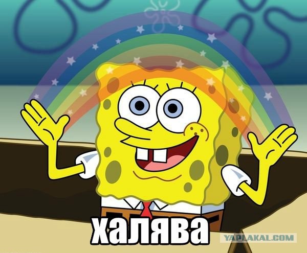 Про выживание в Воронеже.