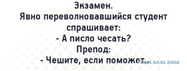 Немного юмора в картинках