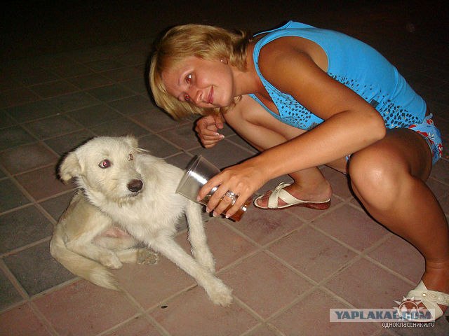 Мисс ЯП - 2012