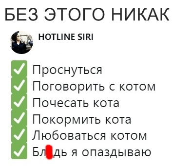 Чуток картинок! 30.10.19