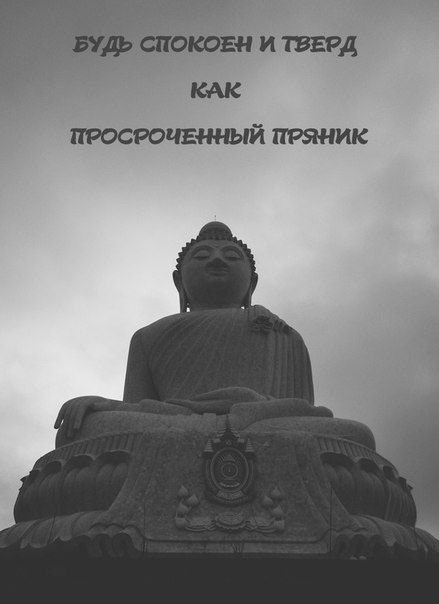 Прикольные и просто красивые картинки 11.08.2020