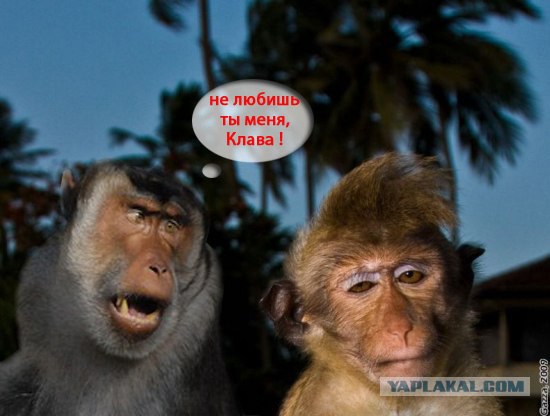 Проспал экзамен!