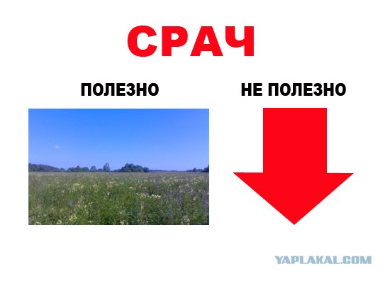 Полезное и не полезное