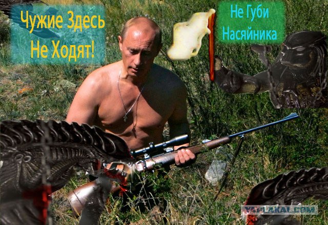 Фотожаба: ЧУЖИЕ против ХИЩНИКОВ