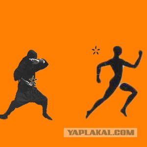 Новые олимпийские виды спорта