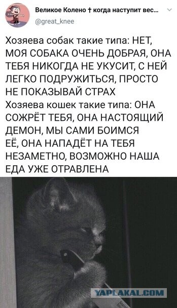 Бредзона 08.02.2021