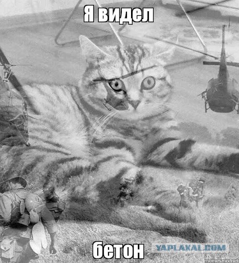Скучная Epis. Мемы