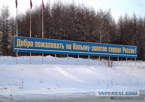 Глава Ростуризма заявила о перегруженности черноморских курортов